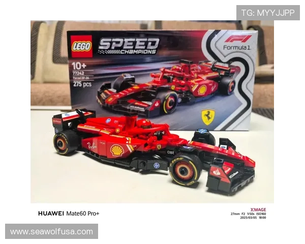 海南启动F1方程式赛车项目引进计划 海南启动F1方程式赛车项目引进计划